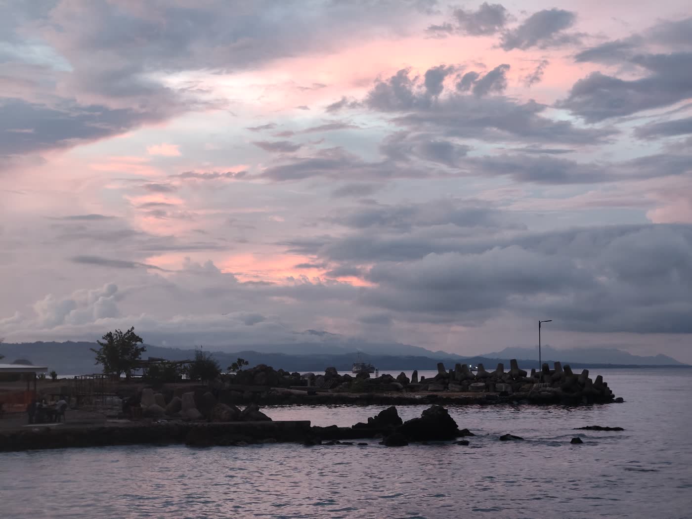 Flowering tree and seaside walkway at dusk